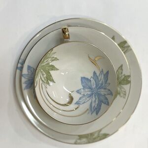 Vtg Hertel Jacob Rehau Bavaria Germany Teacup set with dessert plate Floral